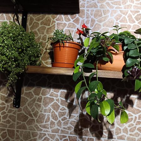 הוילה Água de Alto Casa Da Rosarinha מראה חיצוני תמונה