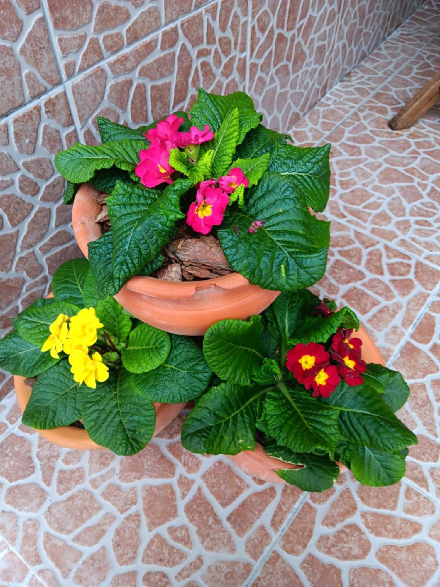 הוילה Água de Alto Casa Da Rosarinha מראה חיצוני תמונה