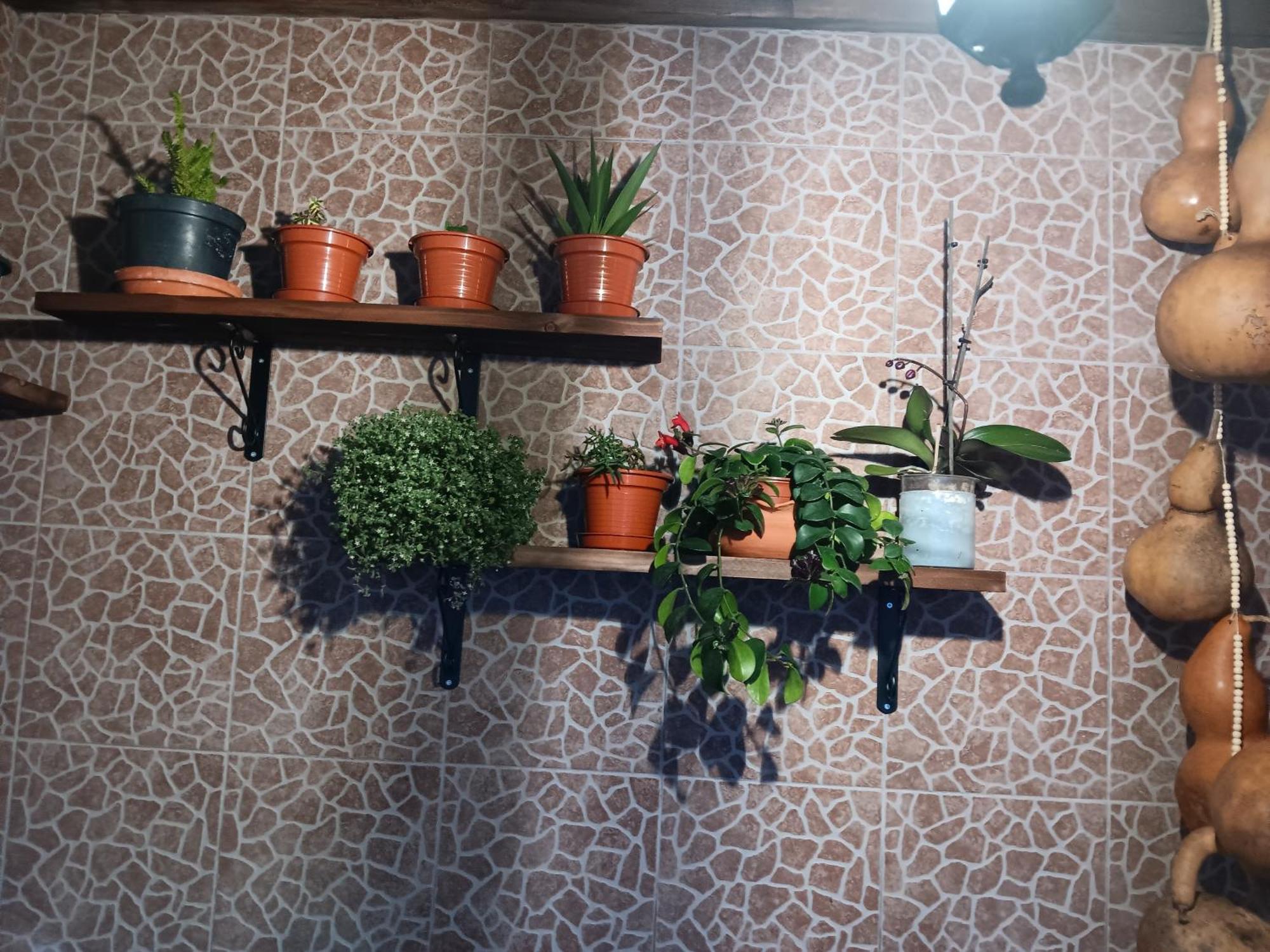 הוילה Água de Alto Casa Da Rosarinha מראה חיצוני תמונה