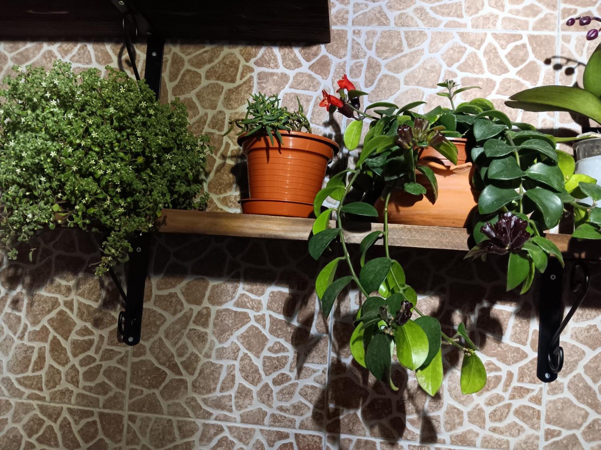 הוילה Água de Alto Casa Da Rosarinha מראה חיצוני תמונה
