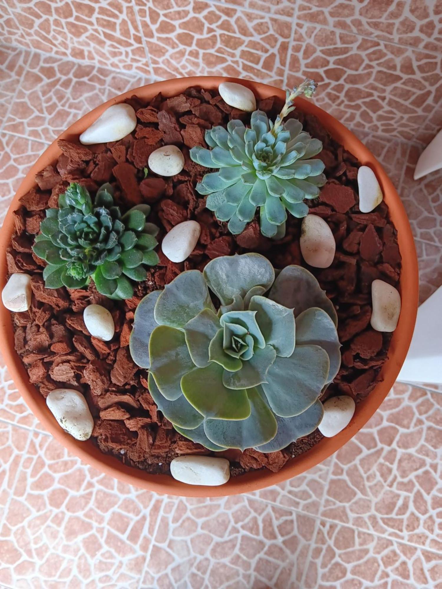 הוילה Água de Alto Casa Da Rosarinha מראה חיצוני תמונה